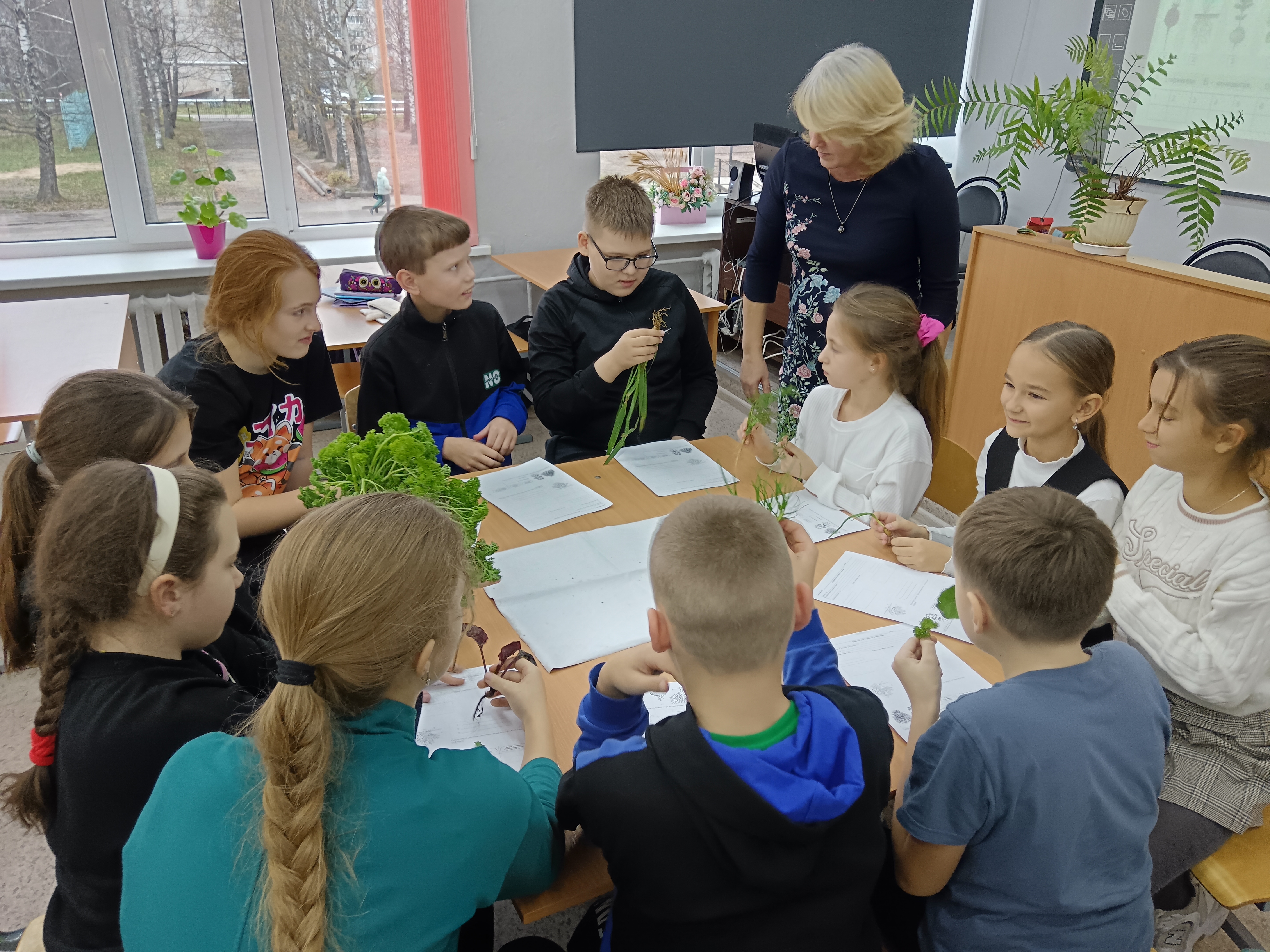 «Типы корневых систем».